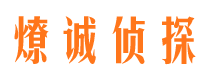 陵川背景调查